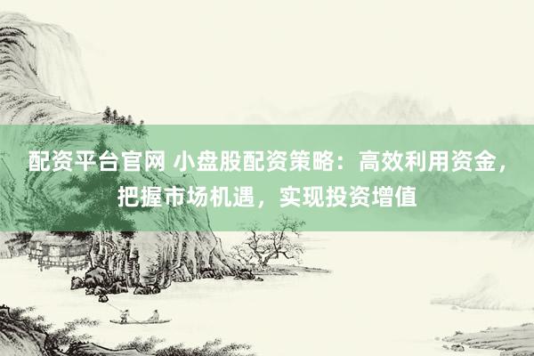 配资平台官网 小盘股配资策略：高效利用资金，把握市场机遇，实现投资增值