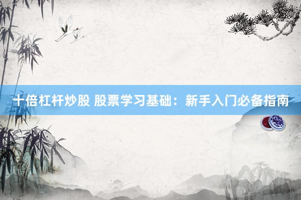 十倍杠杆炒股 股票学习基础：新手入门必备指南