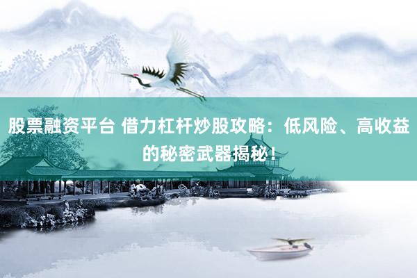 股票融资平台 借力杠杆炒股攻略：低风险、高收益的秘密武器揭秘！