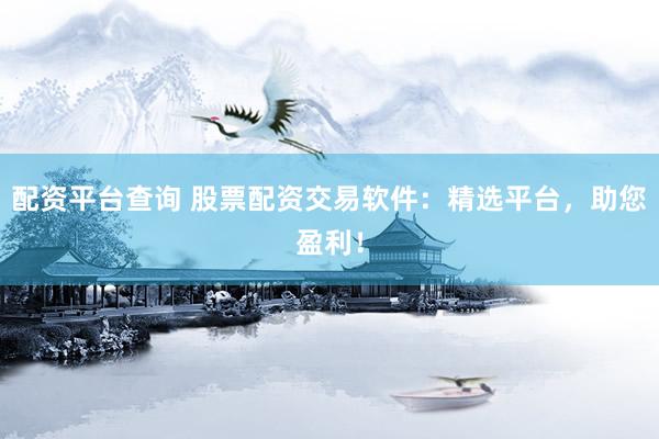 配资平台查询 股票配资交易软件：精选平台，助您盈利！