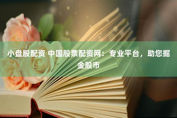 小盘股配资 中国股票配资网：专业平台，助您掘金股市