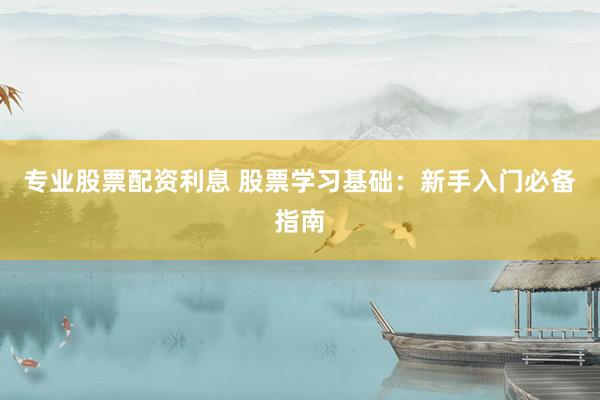 专业股票配资利息 股票学习基础：新手入门必备指南