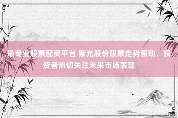最专业股票配资平台 紫光股份股票走势强劲，投资者热切关注未来市场表现