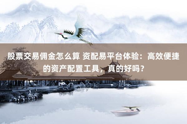 股票交易佣金怎么算 资配易平台体验：高效便捷的资产配置工具，真的好吗？
