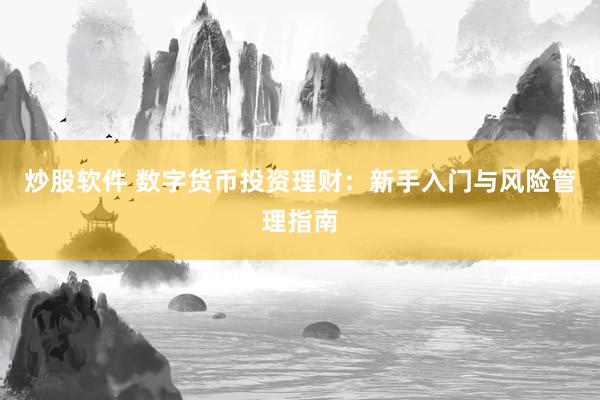 炒股软件 数字货币投资理财：新手入门与风险管理指南