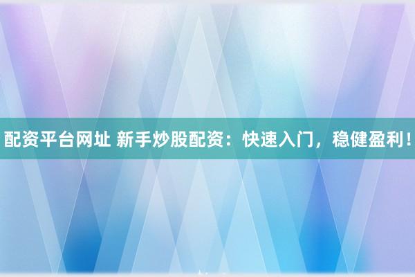 配资平台网址 新手炒股配资:快速入门,稳健盈利!