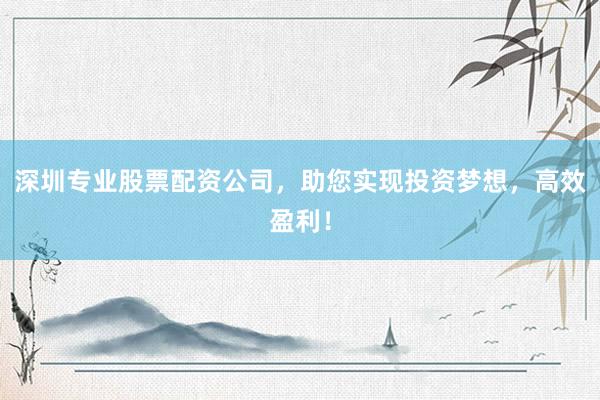 深圳专业股票配资公司,助您实现投资梦想,高效盈利!