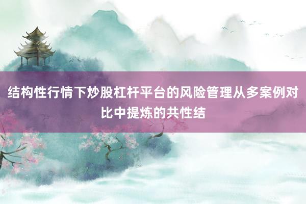 结构性行情下炒股杠杆平台的风险管理从多案例对比中提炼的共性结