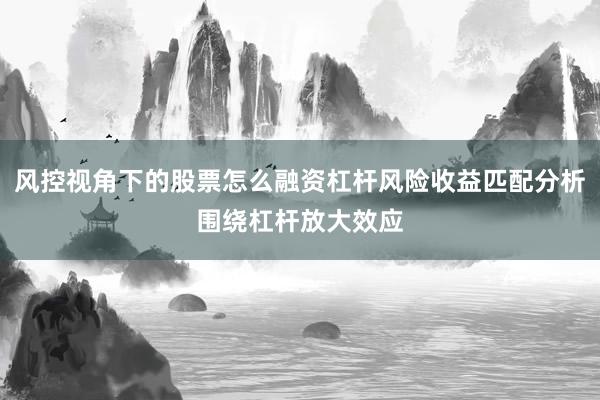风控视角下的股票怎么融资杠杆风险收益匹配分析围绕杠杆放大效应