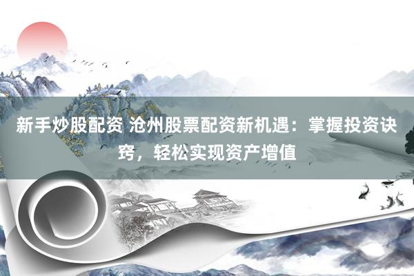 新手炒股配资 沧州股票配资新机遇：掌握投资诀窍，轻松实现资产增值