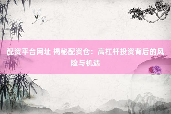 配资平台网址 揭秘配资仓：高杠杆投资背后的风险与机遇